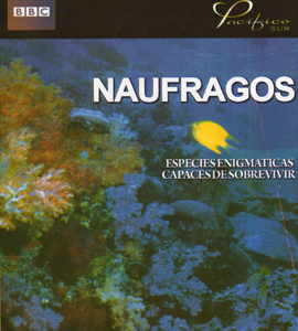BBC - Naufragos