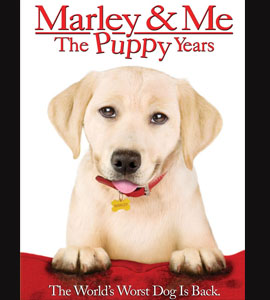 Marley & Me: The Puppy Years