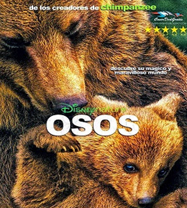 Bears