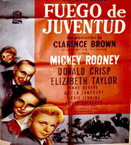 National Velvet