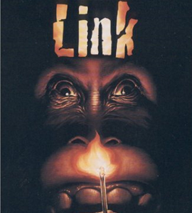 Link