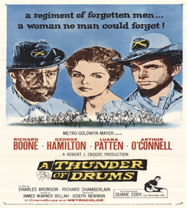 A Thunder of Drums