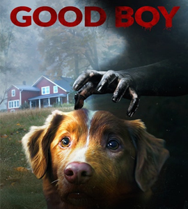 Good Boy